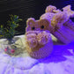 Handmade Crochet Baby Shoes – Custom Size for 6 Months to 1 Year"