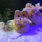Handmade Crochet Baby Shoes – Custom Size for 6 Months to 1 Year"