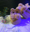 Handmade Crochet Baby Shoes – Custom Size for 6 Months to 1 Year"