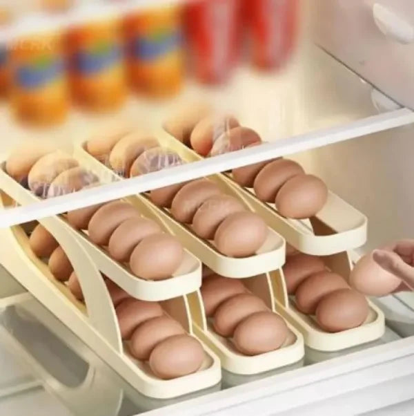 Egg Organizer